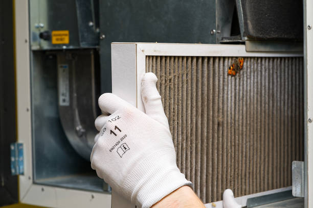 Best Affordable Duct Cleaning Services  in Ruckersville, VA