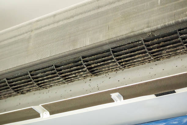 Best Commercial Air Duct Cleaning  in Ruckersville, VA