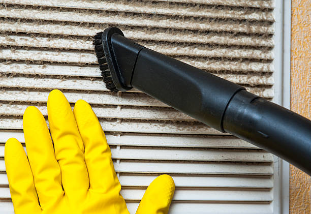 Best Professional Duct Cleaning Services  in Ruckersville, VA
